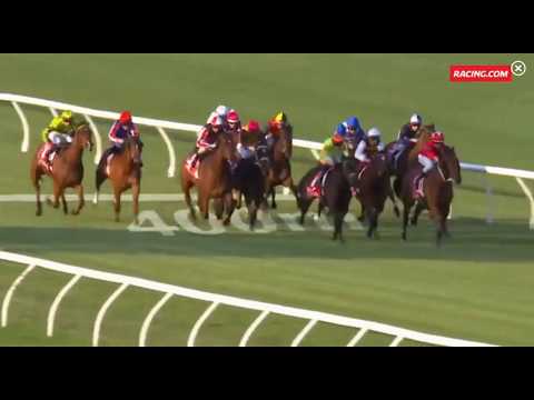 Skelm (Animal Kingdom) wins at Sandown