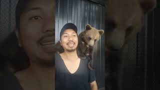 Download lagu I call My Cute Bear #shorts mp3