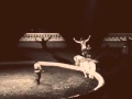 S Caleb Carinci Asch Equestrian Acrobat