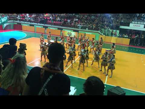 Apresentação Copamed X Charanga Pandemia 2018
