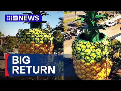 Big Pineapple ready to open after renovation | 9 News Australia
