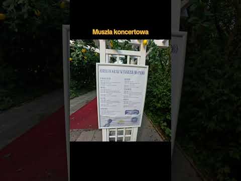 Muszla koncertowa #atrakcje #kołobrzeg