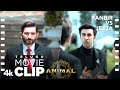 ANIMAL TELUGU SCENE 3 Ranbir VS Jeeja The Khandaani Attitude Ranbir K Anil K Sandeep V