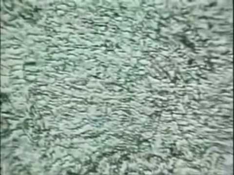 Images du monde visionnaire (Images of the Visionary World)