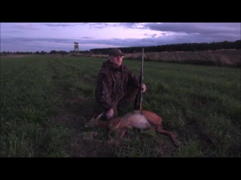 I Met Hunters - Episode 255 The first stag of the season, maybe the last, and a thank you and