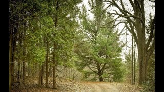 3537 Gregory Rd, Lake Orion MI, 48359