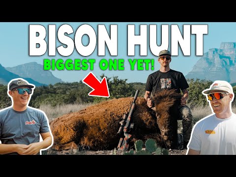 We Hunted Bison!! This Was INSANE!