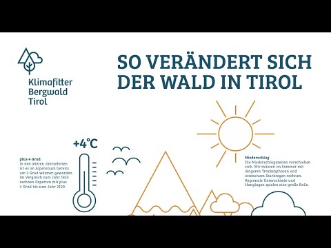 Was ist ein Klimafitter Bergwald?