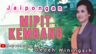 Download lagu MIPIT KEMBANG - DEDEH WININGSIH || JAIPONGAN SUNDA #lagusunda #jaipongan @Kangdedicosmo mp3