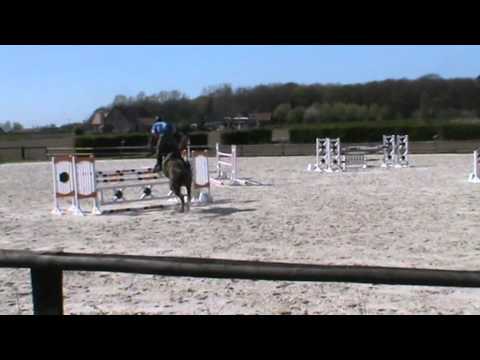 10y old mare by Cassiano x Quidam de revel