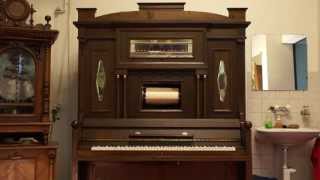 swissmusicbox.com  nickelodeon orchestrion music box player piano circus