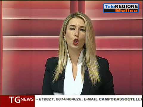 Telegiornale ore 14.00 - 14/12/2017