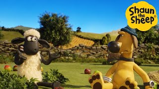 Shaun the Sheep 🐑 Hungry For Apples? - Cartoons for Kids 🐑 Full Episodes Compilation [1 hour]