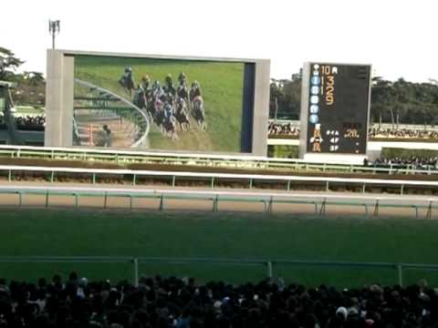 2008有馬記念