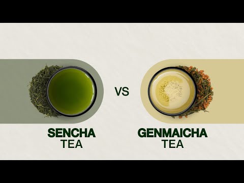Sencha vs Genmaicha - Whats the difference between these two teas?