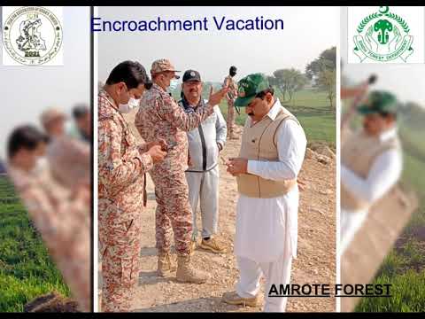 Encroachment Vacation in Amrote Forest