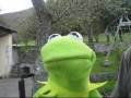 Learn To Speak Scottish With Kermit The Frog Lesson 3
