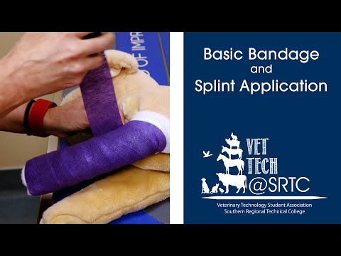 Basic Bandage and Splint Application