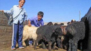 Akys Saparow - Men seni soyarin !!!