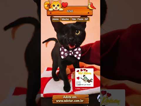 Vídeo de Abel