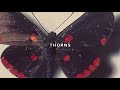 UICIDEBOY THORNS Lyric Video