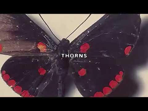 Video thumbnail for Thorns