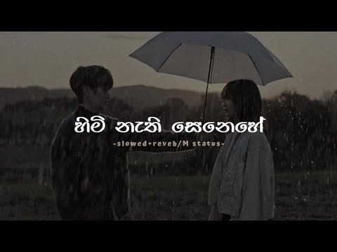 Himi Nathi Senenhe (Slowed+Reverb) / lyrics // M Status