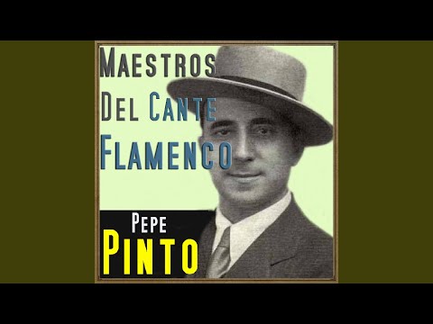 A Mí Nadie Me da un Beso (Canción Pinto)