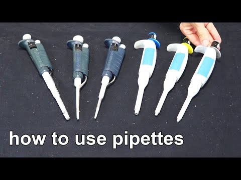 How to Use Micropipettes - Techniques Demonstration