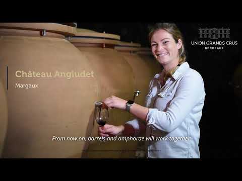 Chateau Angludet - Margaux - Millésime 2019