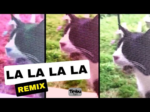 La La La La (Remix) - by Timbu Fun