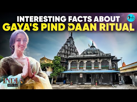 Elli AvrRam Uncovers Facts About Gaya's Pind Daan Ritual | India With Elli S02 | Ep 10 | Curly Tales