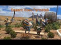 Desert Rose Farm Stall