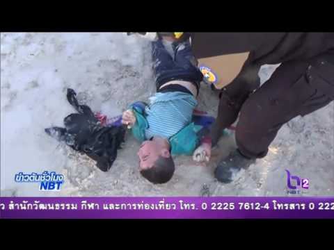 หัวโจกใหญ่สาวน้อย Exciter ม้าสำหรับผู้หญิงซื้อใน Kemerovo