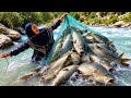 Epic River Fishing In The Zagros Ismat S Incredible Catch ️