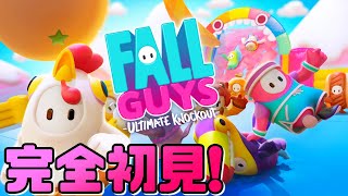【FallGuys】完全初見のゆるゆる生配信【フォールガイズ】