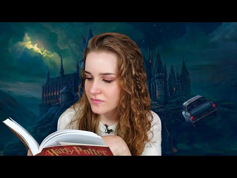 Lendo pela primeira vez Harry Potter | DIÁRIO DE LEITURA