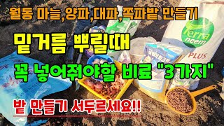 마늘,양파,대파,쪽파 심는시기 밭만들기 밑거름 뿌릴때 꼭 넣어야할 비료 3가지 #마늘밭만들기 #대파농사