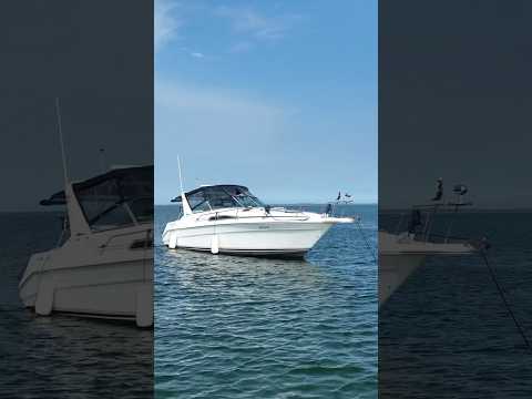 Anchored out to beat the heat.  #boats #searay #heatwave #bote #boating #droneshots #lakeontario