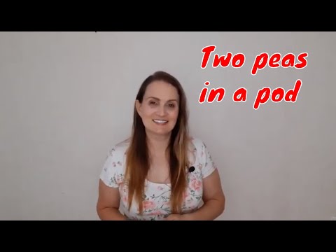 Two Peas In A Pod Meaning How To Discuss