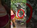 Potharaju Beating Video 2025 Potharaju Dance Bonalu Dance Youtubeshorts Reels Viral Yt
