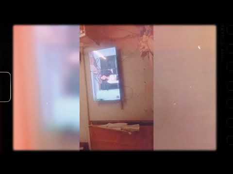 kitten love Musfira #minivlog #kidsvideo #shortvideo #funny #minivlog #cute #cat #rajabfamily