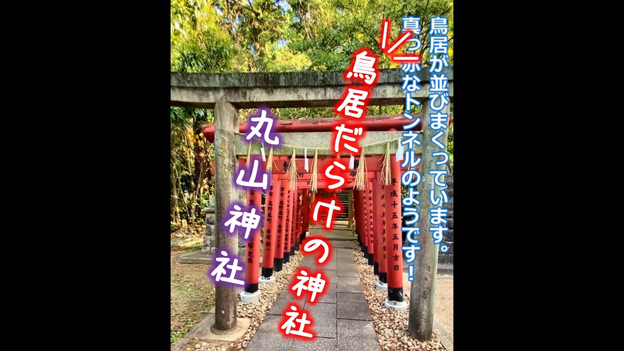 丸山神社　☆三重県津市にある鳥居がたくさんある神社