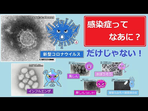 シンプルなコロナウイルス対策: 病原体と戦うのはとても簡単です