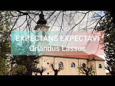 Orlandus Lassus - Expectans expectavi - Cappella Victoria Jakarta (Petrinja, Croatia)