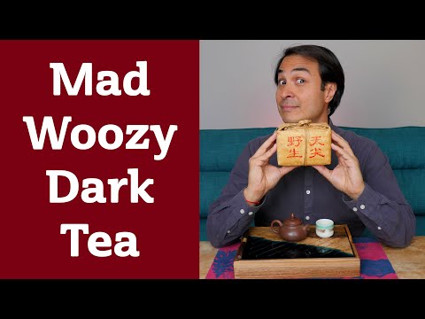 WILD AND PUNCHY fermented tea from Hunan - WOOZY FRUITCAKE