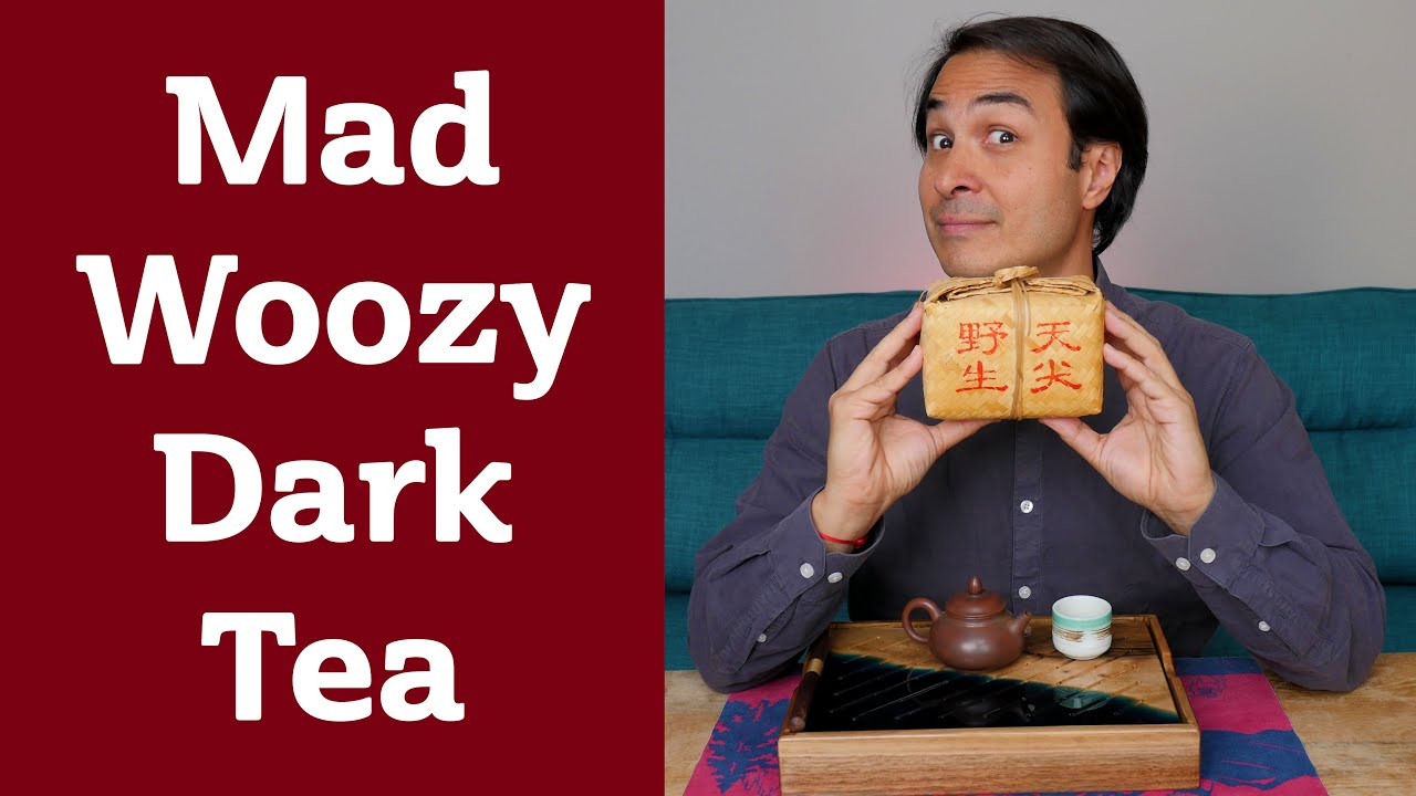 WILD AND PUNCHY fermented tea from Hunan - WOOZY FRUITCAKE