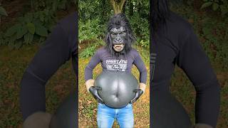 Download lagu Gorilla’s Tummy Turns into a Balloon! 😱🦍🎈 mp3 Download lagu Gorilla’s Tummy Turns into a Balloon! 😱🦍🎈 mp3