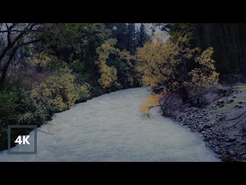 RAIN Sounds and RIVER Sounds 8 HOURS, Reduce Stress with Sound of River and Rain to Sleep, Study
