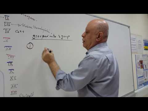 Hematology 2 lab - Hemostasis 2 part 1 (lab Theory)